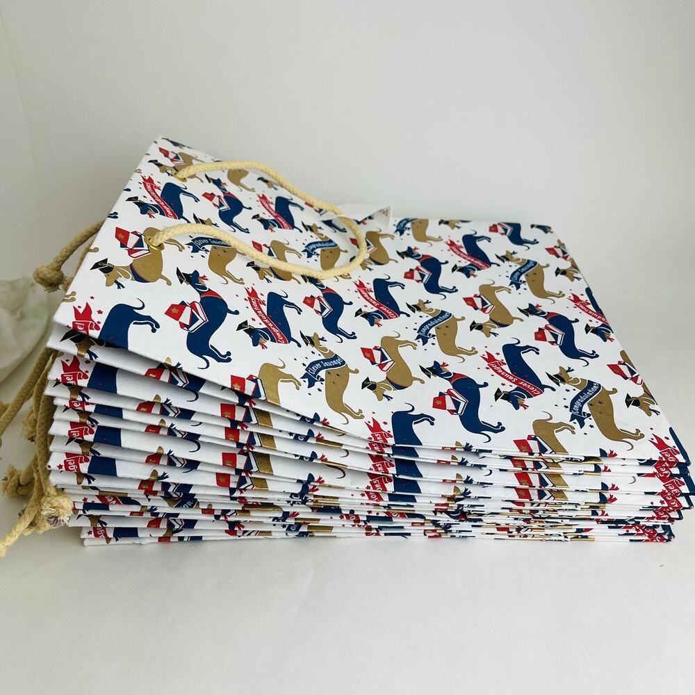 10-pack Medium Size Paper Gift Bags with Handles 12x10x4 Inches Dog Graduation